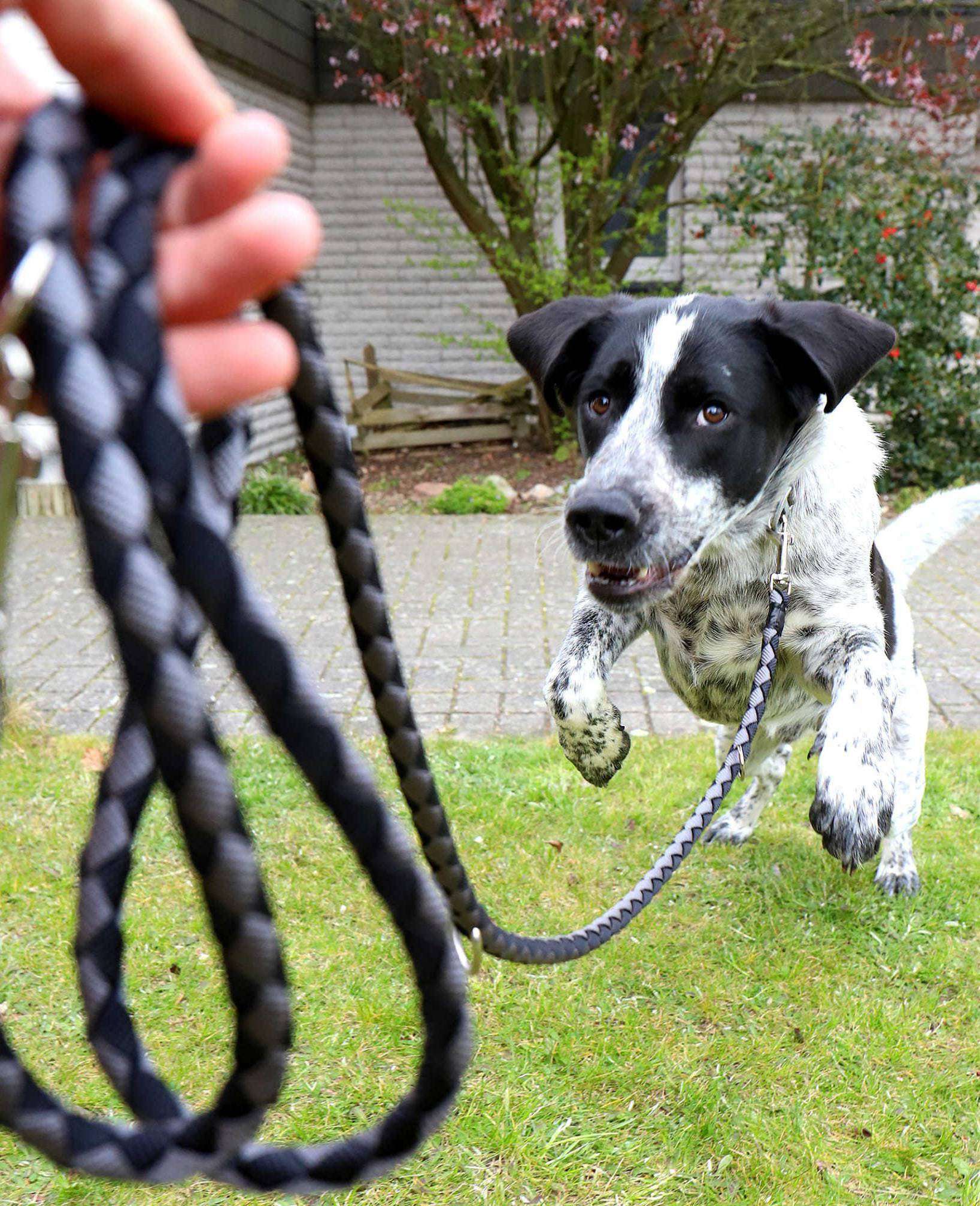 Für Hunde gilt aufgrund der Brut- und Setzzeit vom 1. April bis zum 15. Juli die Leinenpflicht. 