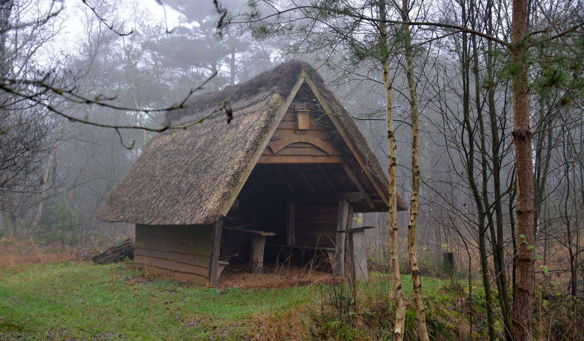 Im Twistmoor erinnert eine Hütte an die schwere Arbeit im Moor. Foto: Joachim Looks
