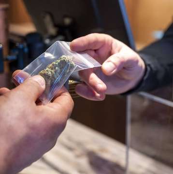 Rotenburger Stimmen zur geplanten Cannabislegalisierung