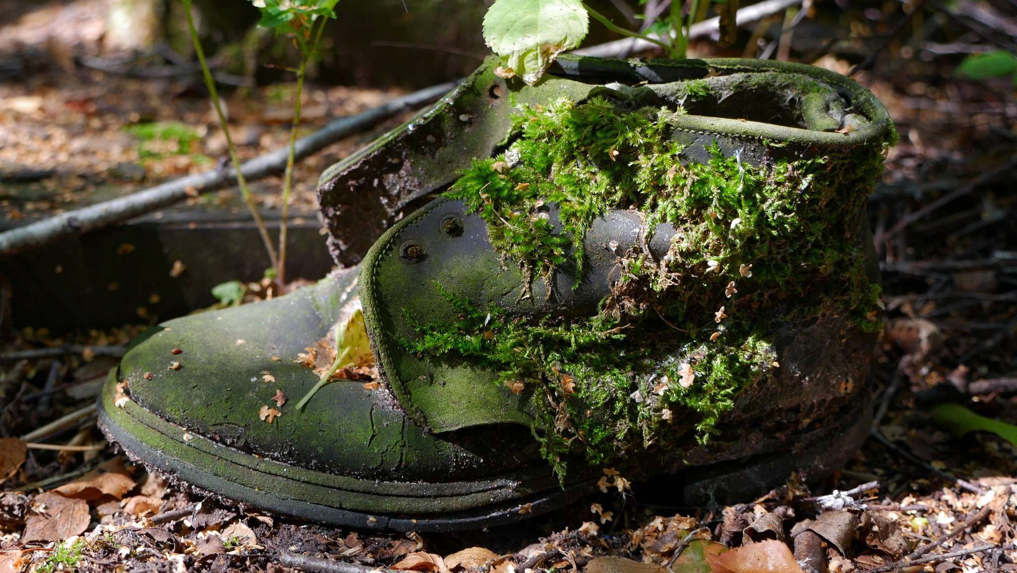 Ein vergessener Schuh in Prypjat: Lena Gehring setzt bei ihren Bildern aus dem Katastrophengebiet auf Realismus.