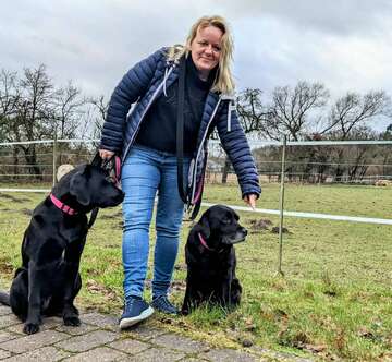 Lauenbrückerin vermisst HundekotbeutelSpender im öffentlichen Raum