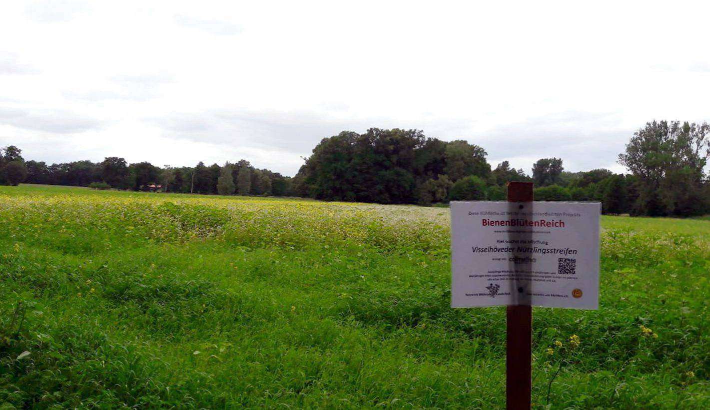Mit einer Fläche von einem Hektar, die sich in den schon vorhandenen Blühflächen befindet, hat sich das Klostergut an dem Projekt beteiligt.