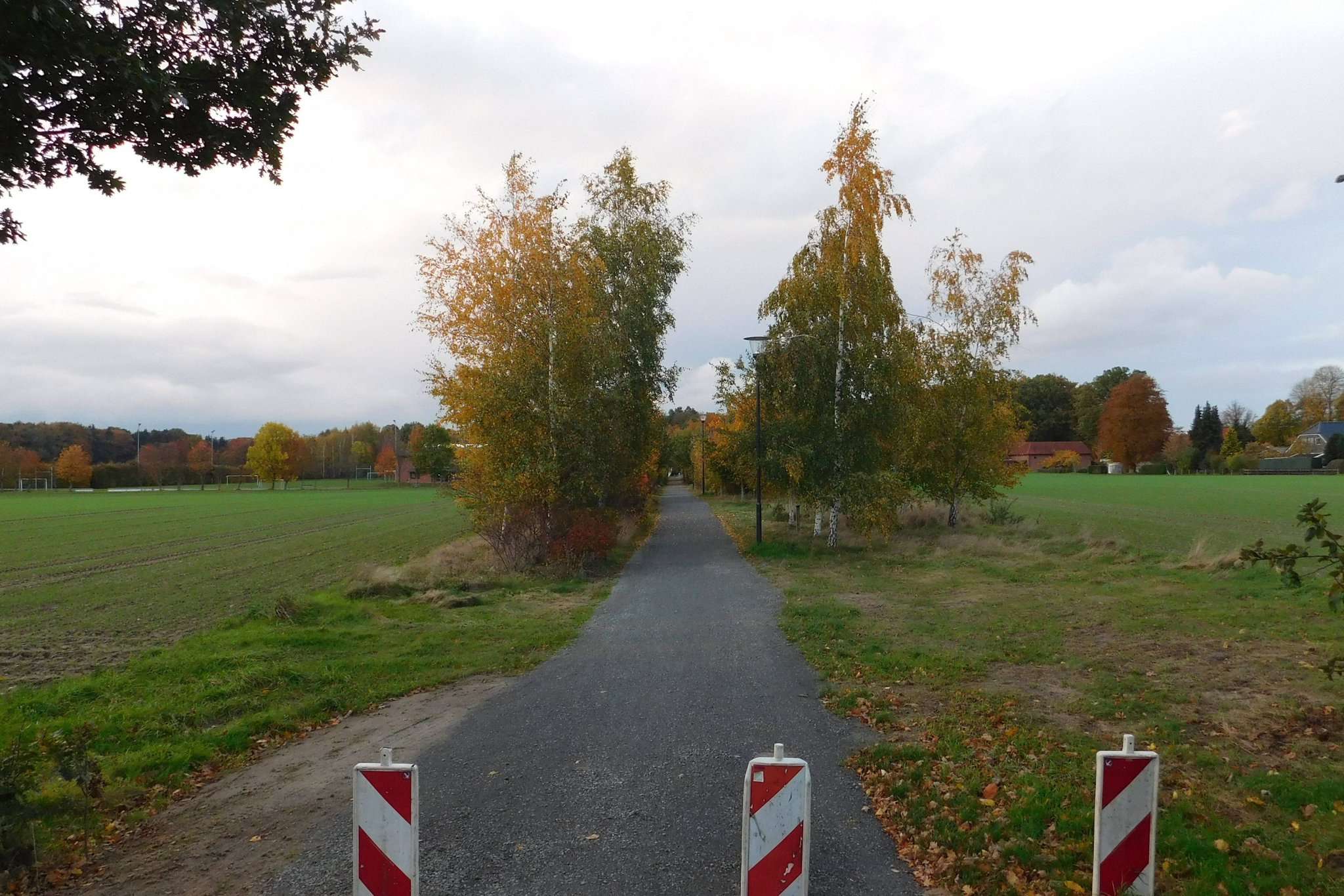 Die Mitglieder des Rates der Gemeinde Bötersen einigten sich auf den Standort für ein neues Baugebiet. Der Schulweg soll erhalten bleiben.