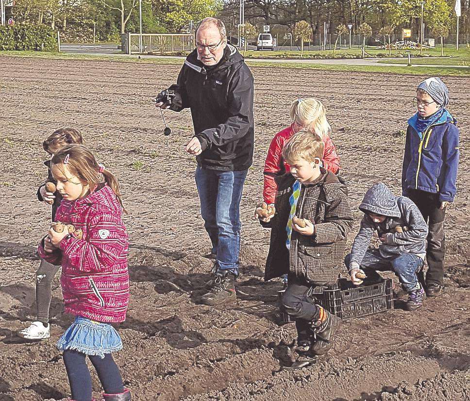 Zusammen mit ihrem Lehrer Andreas Meyer pflanzen Kinder Bio-Kartoffeln auf einem Acker der Kalandshof-Gärtnerei. Im Herbst wird geerntet, auch das gehört zu dem Langzeit-Projekt des Umweltbildungszentrums mit Schule am Grafel.