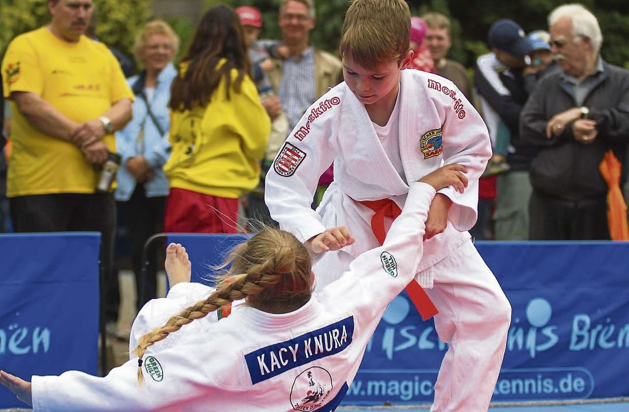 Auf dem Sommerfest zeigten junge Judoka, was ihren Sport ausmacht.