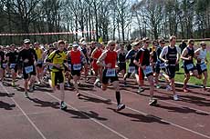Insgesamt 230 Athleten gingen in Scheeßel an den Start        Foto: Plage